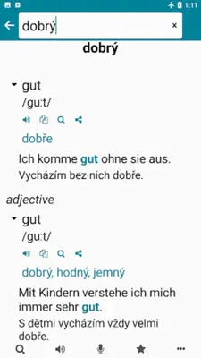 German - Czech android App screenshot 6